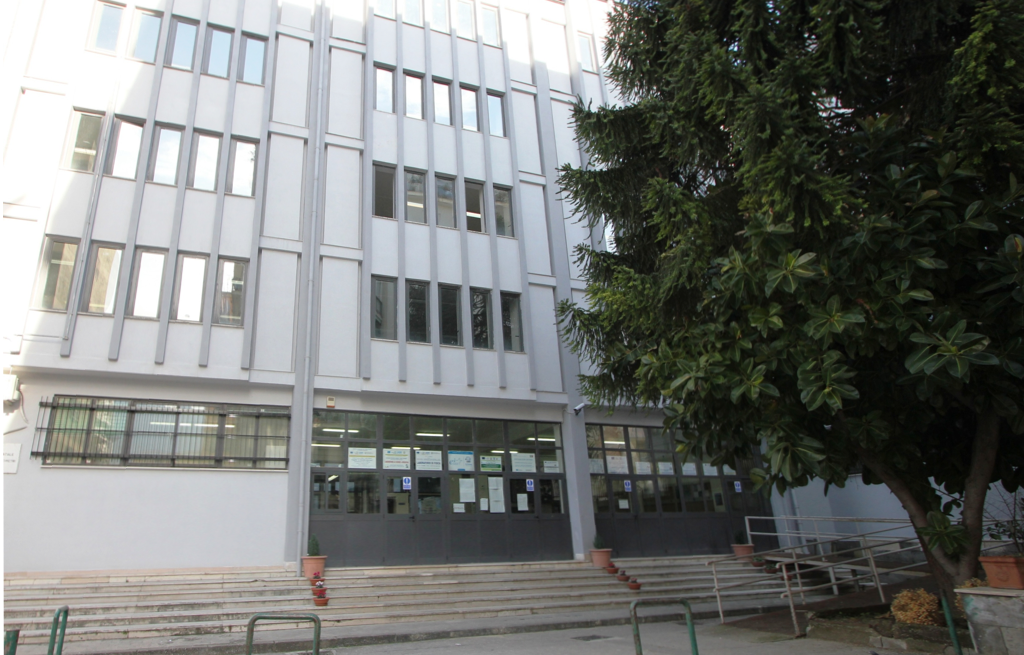 Immagine articolo 1